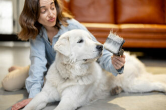 Eine Frau bürstet ihren Hund mit einer Hundebürste für Langhaarhunde.
