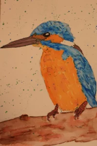Eisvogel Wasserfarben gemalt