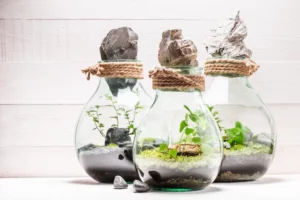 Ecoworld Flaschengarten zum selber machen